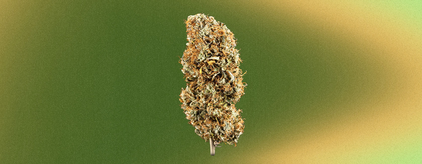 Thin Mint Cookies A GSC Superstar RQS Blog